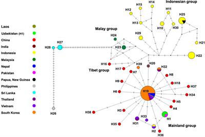 Exploring genetic variation and phylogenetic patterns of Tropilaelaps mercedesae (Mesostigmata: Laelapidae) populations in Asia